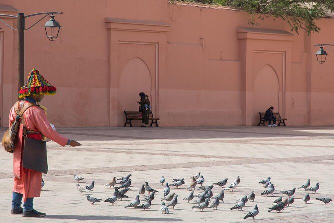 Medina of Marrakech Walking Tour - Who Will Love This Tour?