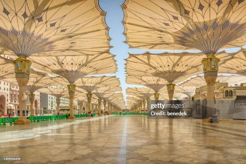 Medina Tour From Jeddah by Train - Analyzing the Value