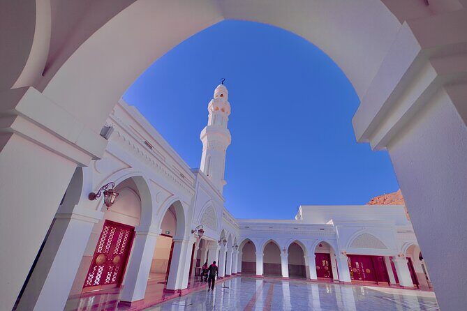 Medina Unveiled Private Tour - Key Points