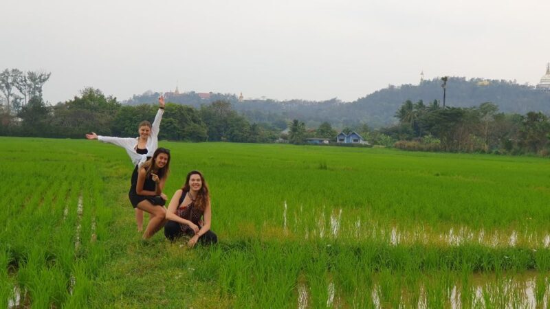 Meditation Retreat and Self-Care in Nature - FAQs