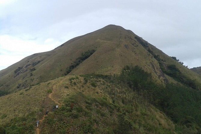Meesapulimala Sunrise trek( By Munnar Info) - The Starting Point and Early Morning Atmosphere