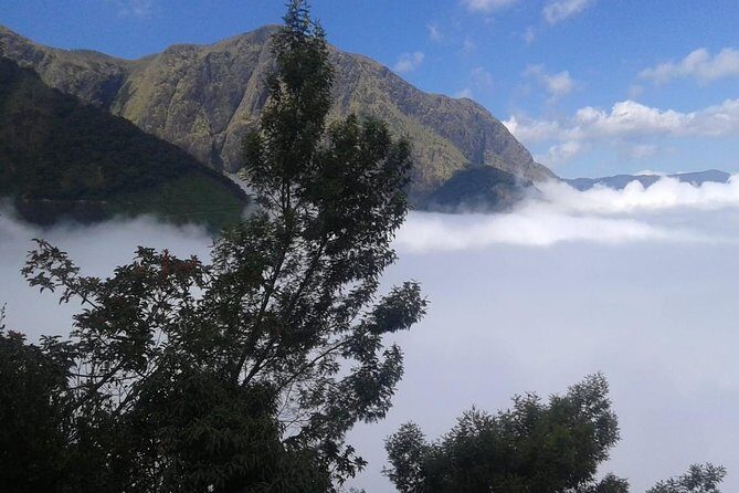 Meesapulimala Sunrise trek( By Munnar Info) - Why Reviews Confirm Quality