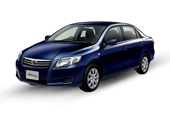 Meet and Greet Private Transfer from Cairo Airport to Cairo and Giza Hotel - Why You Might Choose This Service