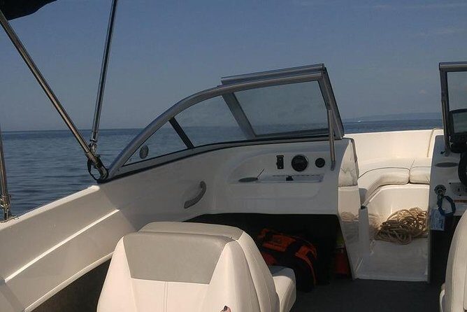 Meet The Seals Boat Tour - Travel by boat to a Secret Seal Cove - An in-depth look at the Meet The Seals Boat Tour