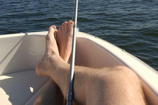 Meet The Seals Boat Tour - Travel by boat to a Secret Seal Cove - The Sum Up