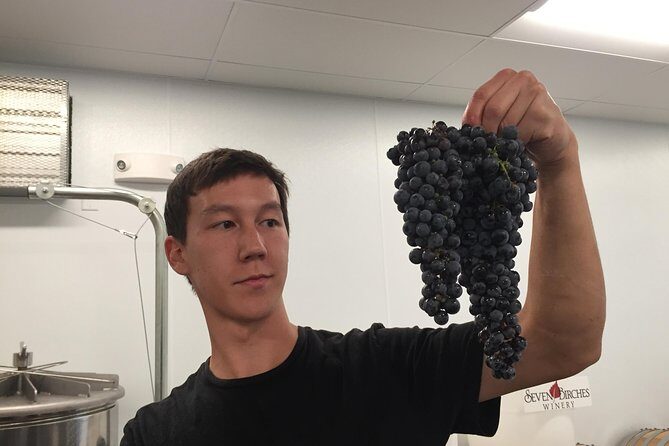 Meet the Winemakers - Seven Birches Winery Tour - Practical Details and Value