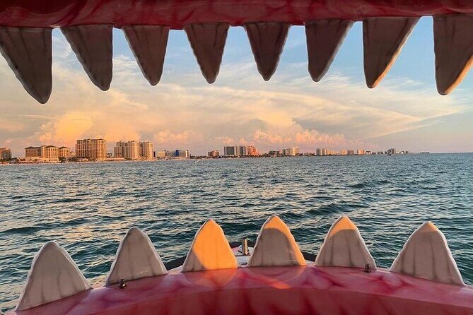 Mega Bite Dolphin Tour Boat in Clearwater Beach - A Detailed Look at the Mega Bite Dolphin Tour