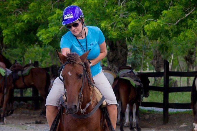 Mega Zip and Ride in Dominican Countryside - A Closer Look at the Experience