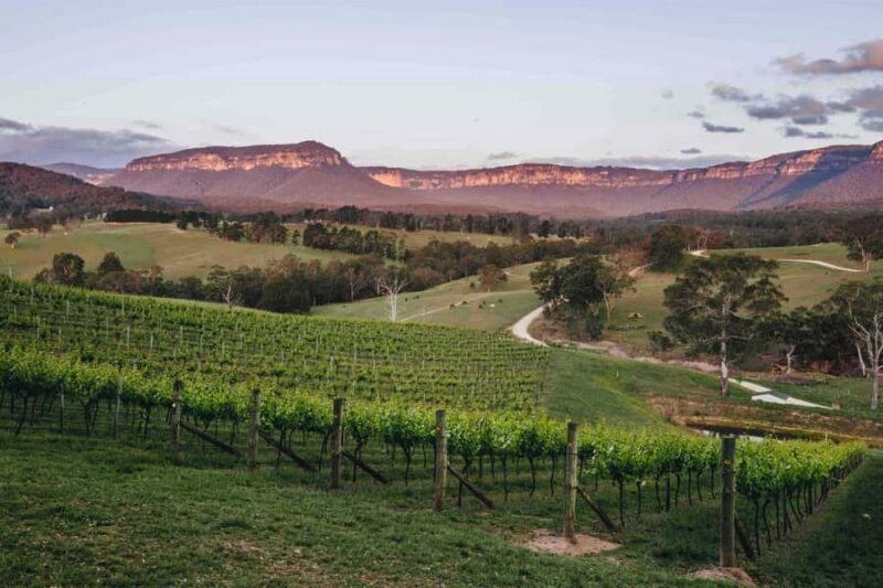 Megalong Valley: Wine Tasting and Stargazing Experience - Megalong Valley: Wine Tasting and Stargazing Experience