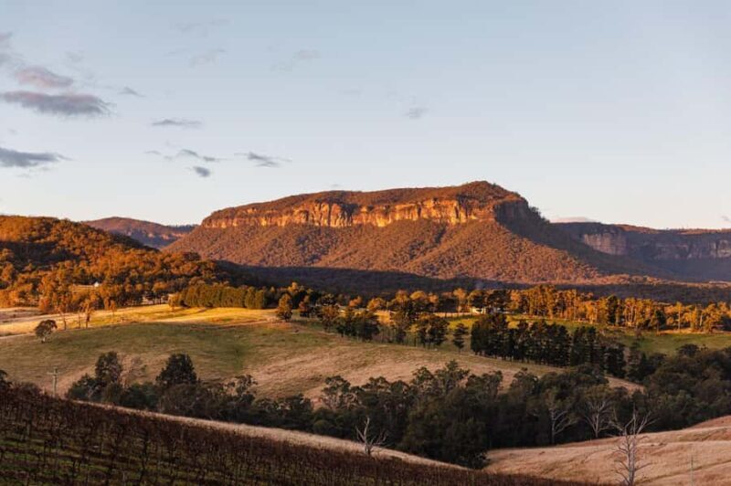 Megalong Valley: Wine Tasting and Stargazing Experience - The Experience Breakdown
