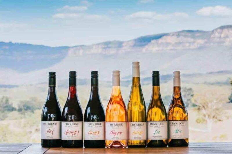 Megalong Valley: Wine Tasting and Stargazing Experience - Why This Tour Offers Real Value