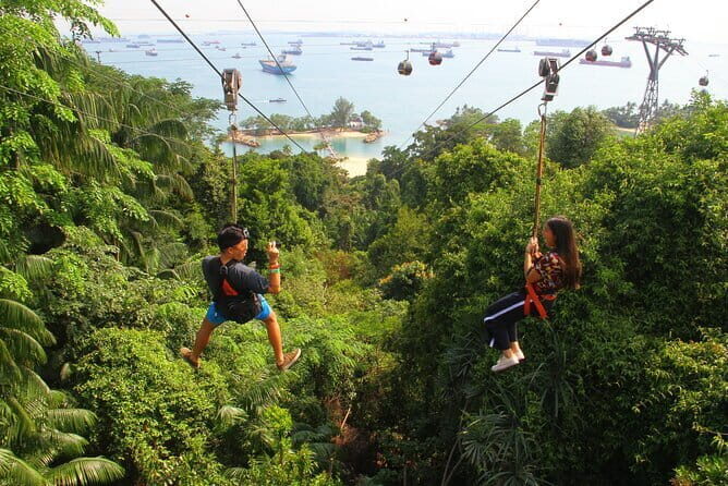 MegaZip at Mega Adventure - What to Expect During the Zipline Adventure