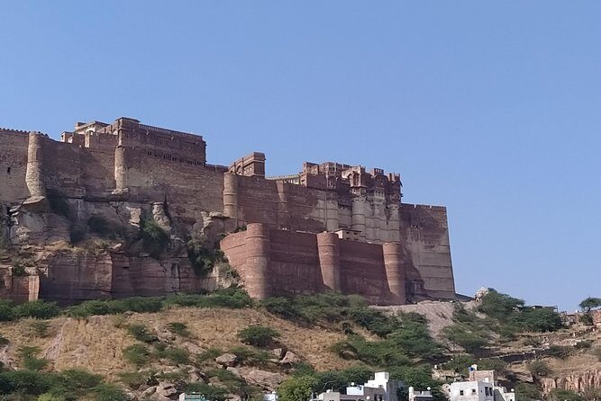 Mehrangarh Fort and Blue City Historic Tour with Local Guide - Why Choose This Tour?