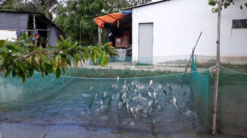 Mekong Day Tour by Car:Cai Be market, Local Island & Cycling - Final Thoughts