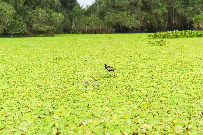 Mekong Delta 3-Day: Saigon to Phnom Penh Gateway - The Value and Who Should Consider This Tour