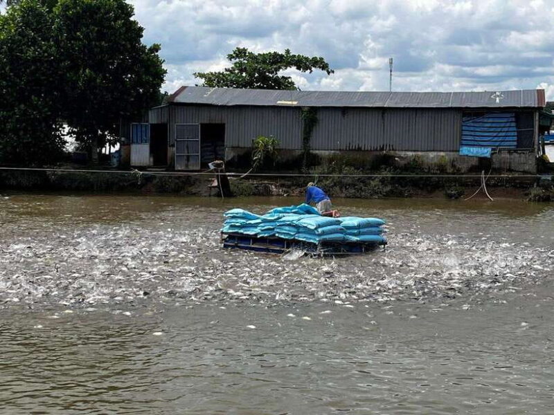 Mekong Delta 4-Day Tour: Ho Chi Minh-Chau Doc-Can Tho-Ca Mau - The Sum Up
