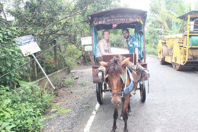 Mekong Delta Adventure by Private Car from Phu My Port - Authenticity and Quality: What Real Travelers Say