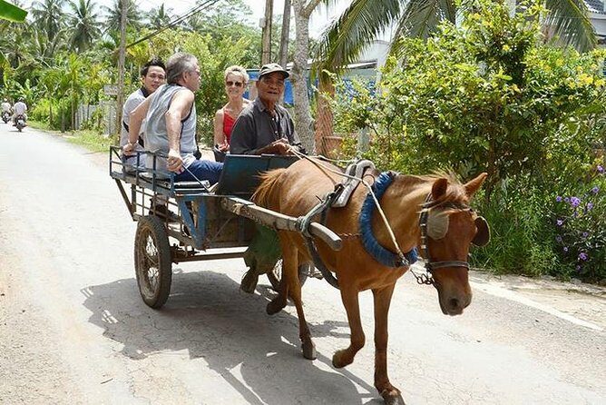 Mekong Delta Day Tour from Ho Chi Minh City - Why the Tour Offers Great Value