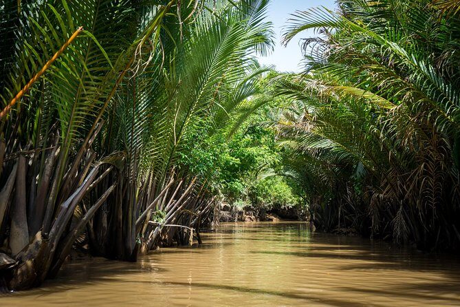 Mekong Delta Experience: Small Group Adventure - Overall Value and Experience
