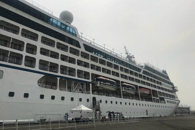 MEKONG DELTA SHORE EXCURSION from Cruise Port - The Bottom Line on Value and Experience