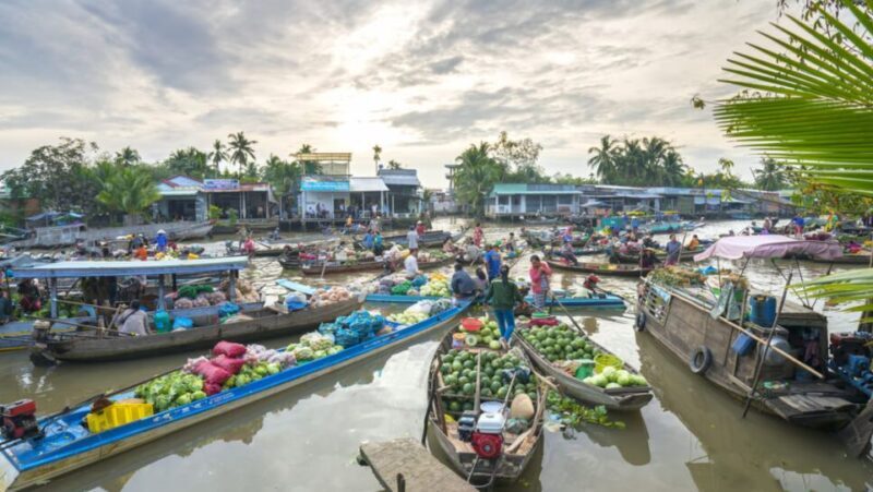 Mekong Delta Tour 2-Day (SaDec Can Tho - My Tho - Ben Tre) - Key Points