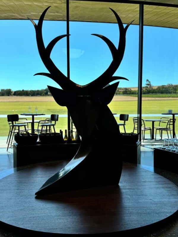 MEL: Private Yarra Valley Wine & Healesville Sanctuary Tours - Key Points