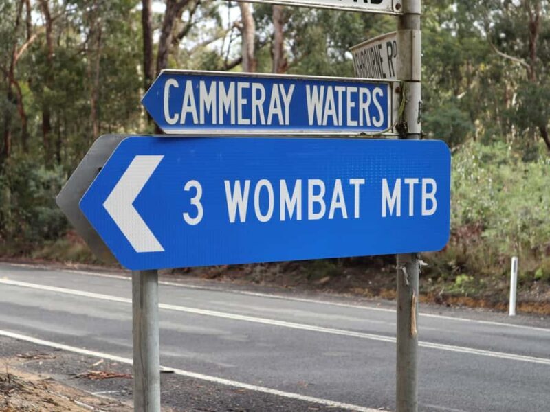 Melbourne: 1-Day Mountain Biking Adventure with Lunch - Who Should Consider This Tour?