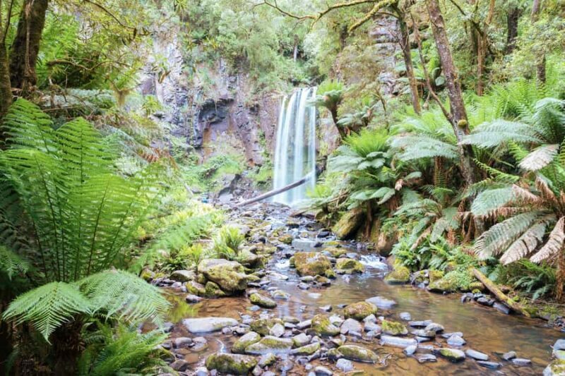 Melbourne: 12 Apostles, Otways & Great Ocean Road Day Tour - An In-Depth Look at the Tour Itself