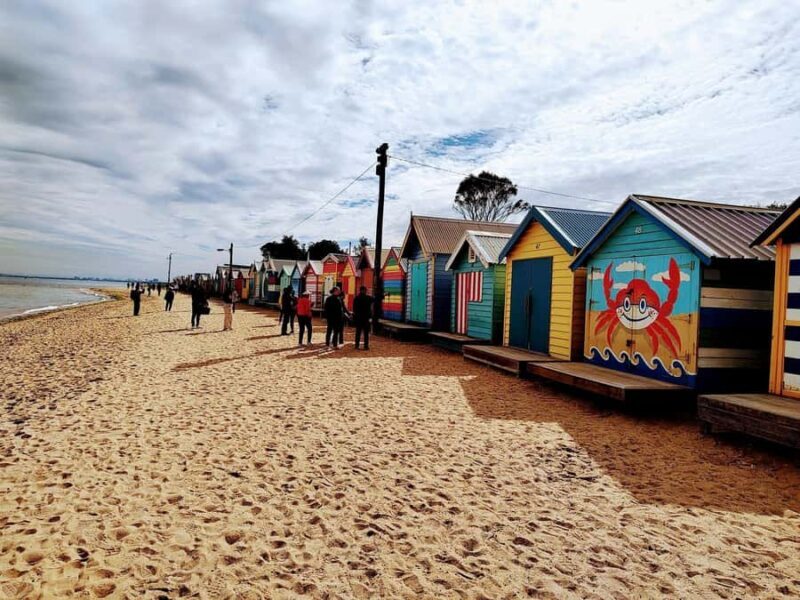 Melbourne 3-Hour Small Group Tour with Beach Boxes - What makes this tour stand out?
