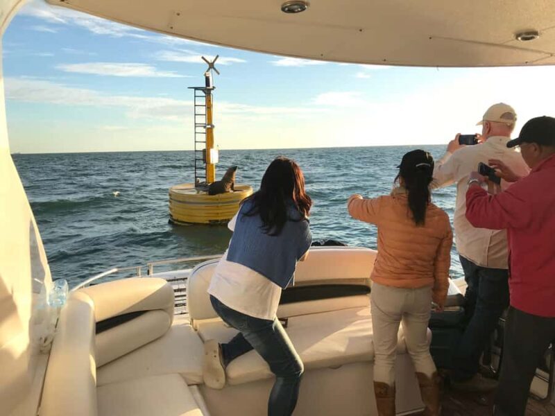 Melbourne: A Private Day Tour on a Sports Yacht on the Bay - The Sum Up