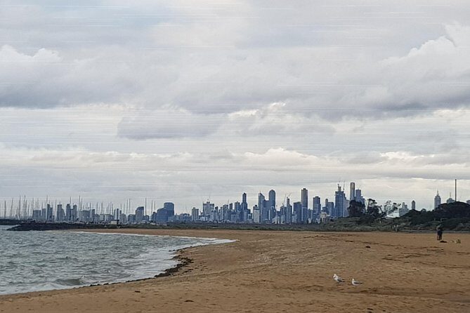 Melbourne Afternoon Sights & Sounds Private Experience - Who Will Love This Tour?