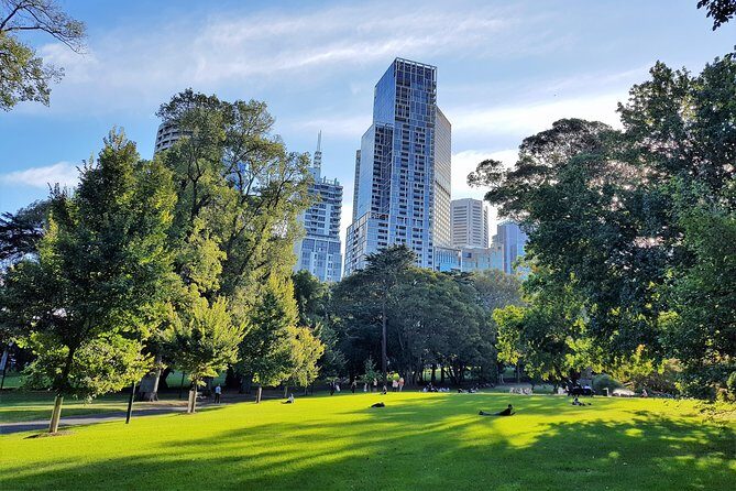 Melbourne Afternoon Sights & Sounds Private Experience - The Sum Up