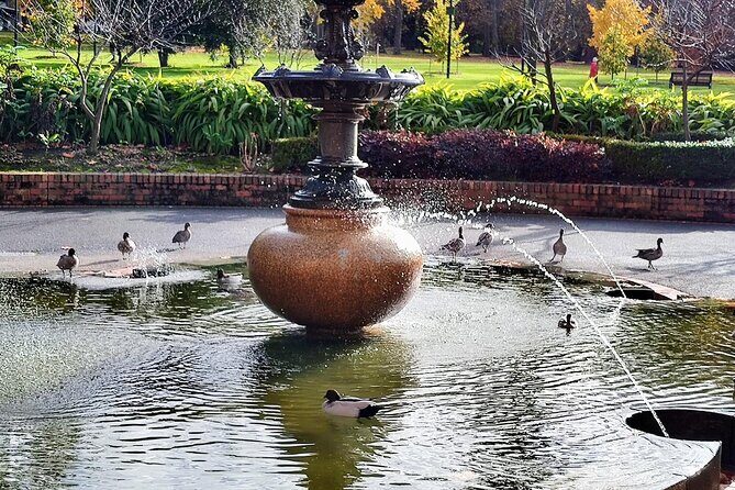 Melbourne and Moonlit Sanctuary Shore Excursion - Practical Details and How This Tour Works for You