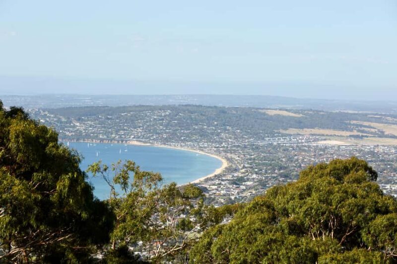 Melbourne: Around the Bay Food & Wine Taste Trail - Final Thoughts: Who Will Love This Tour?