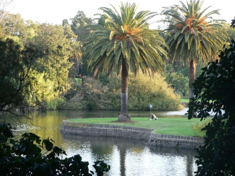 Melbourne: Botanic Gardens & Sports Precinct Walking Tour - Practical Tips for Participants