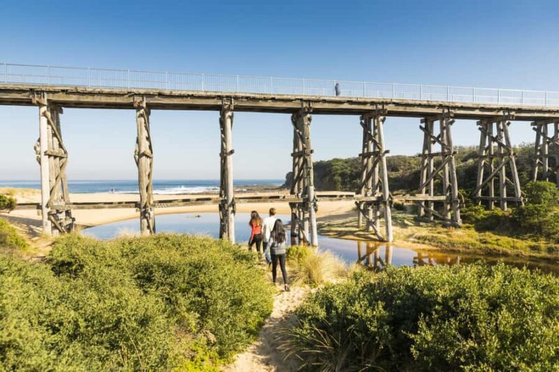 Melbourne: Bunurong Coast & Penguin Parade Day Trip - An Honest Look at What to Expect