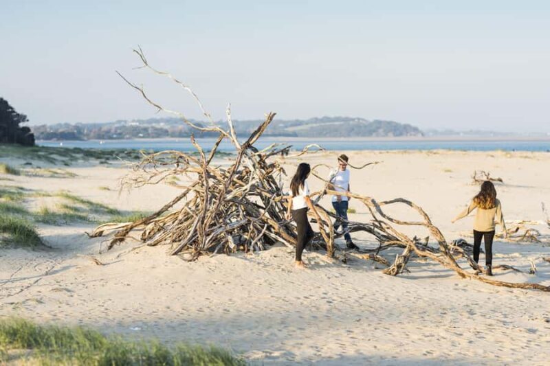 Melbourne: Bunurong Coast & Penguin Parade Day Trip - The Sum Up