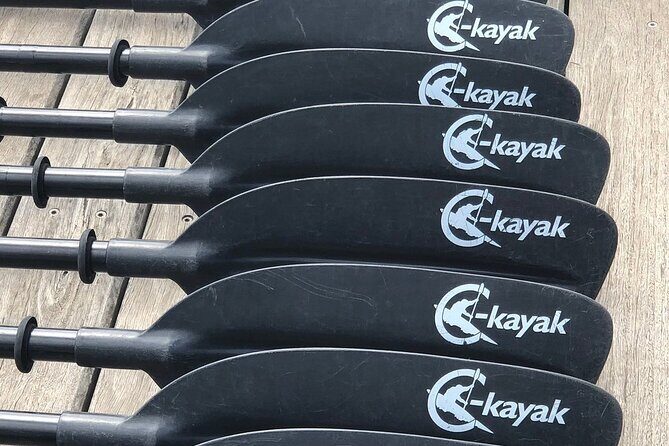 Melbourne City Sights Kayak Tour - Who Will Love This Tour?