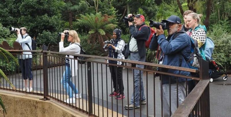Melbourne City Surrounding Sightseeing Tour - Transportation and Group Size