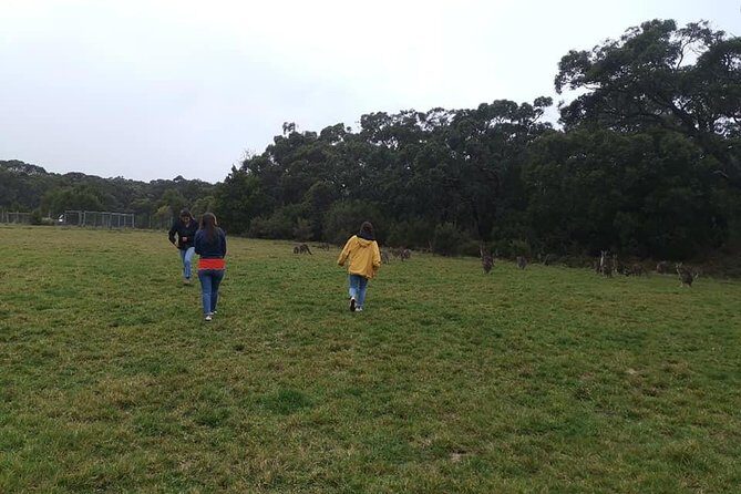 Melbourne Combo: Great Ocean Road Day Trip and Phillip Island Day Trip from Melbourne - Final Thoughts: Is This Tour Right for You?