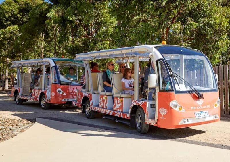 Melbourne: Cranbourne Gardens Electric Explorer Tour - Who Should Consider This Experience