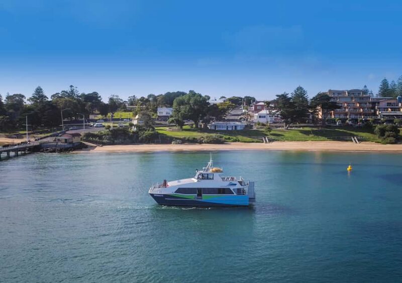 Melbourne: French and Phillip Island Wildlife Expedition - The Itinerary Breakdown