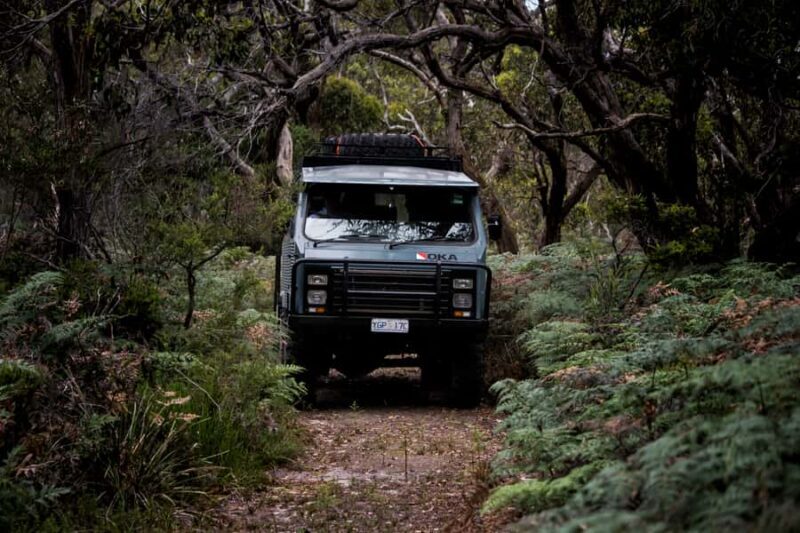 Melbourne: French and Phillip Island Wildlife Expedition - Who Should Consider This Tour?