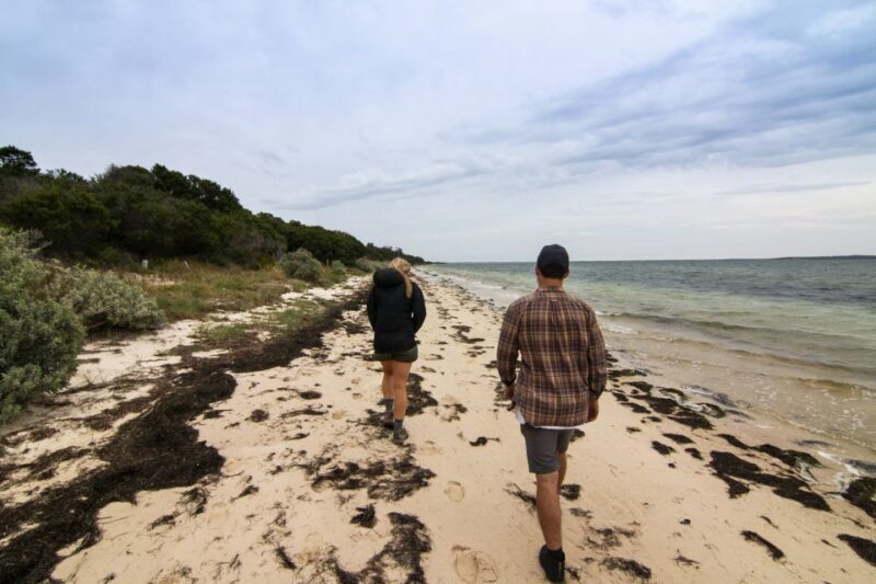 Melbourne: French and Phillip Island Wildlife Expedition - FAQ