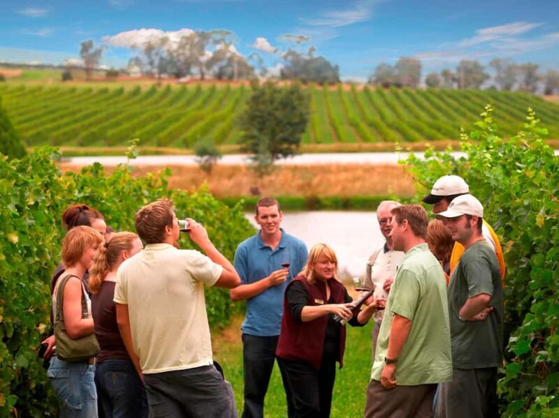 Melbourne: Full-Day Yarra Valley Wine Experience with Lunch - What to Expect from the Yarra Valley Wine Tour