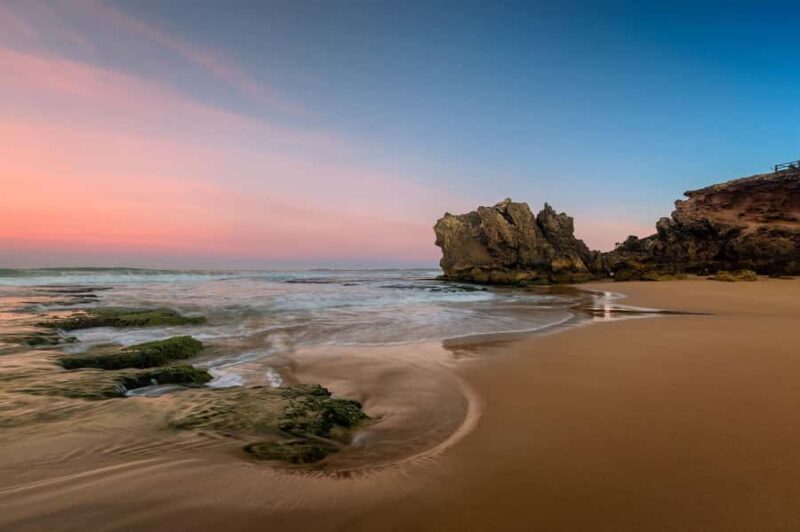Melbourne: Great Ocean Road Day Tour with kangaroos & koalas - Who Is This Tour Best For?