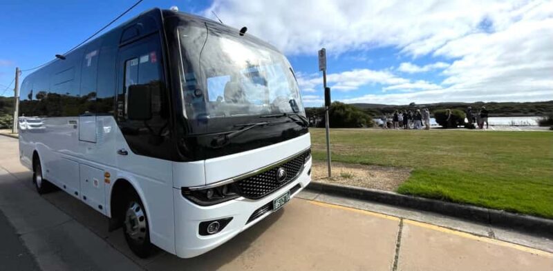 Melbourne: Great Ocean Road ExtendedTop Stops&London Bridge - Practical Details & Tips