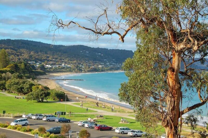 Melbourne: Great Ocean Road & Iconic Coastal Views Day Tour - An In-Depth Look at the Tour
