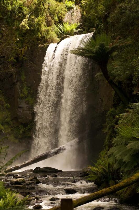 Melbourne: Great Ocean Road Limo Tour with Hotel Pickup - Key Points