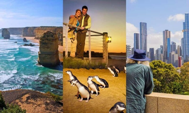 Melbourne: Great Ocean Road, Penguin Parade & Free City Tour - Key Points